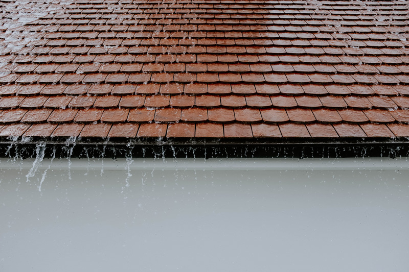 TOP WARNINGS SIGNS YOU NEED A NEW ROOF (HOW TO SPOT A ROOF LEAK)